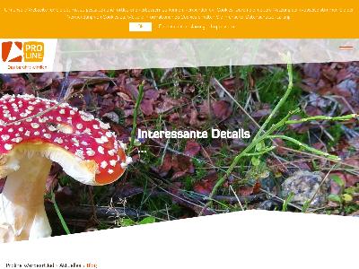 http://www.proline.jetzt/aktuelles/blog.html