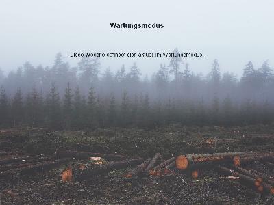 https://magazin.rockandrollpoetry.de