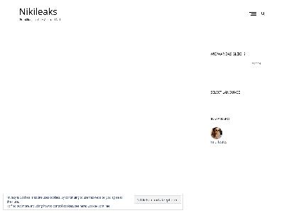 https://nikileaks.de/