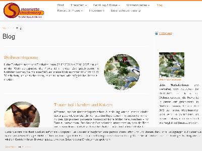 https://thp-scharfenberg.de/blog/