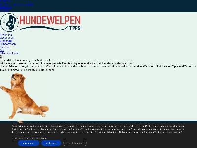https://www.hunde-welpen-tipps.de