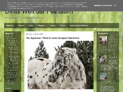 https://binas-fellnasen.blogspot.com