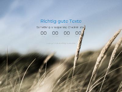 https://www.richtiggutetexte.de/blog/