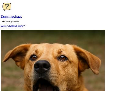 https://www.dumm-gefragt.de/